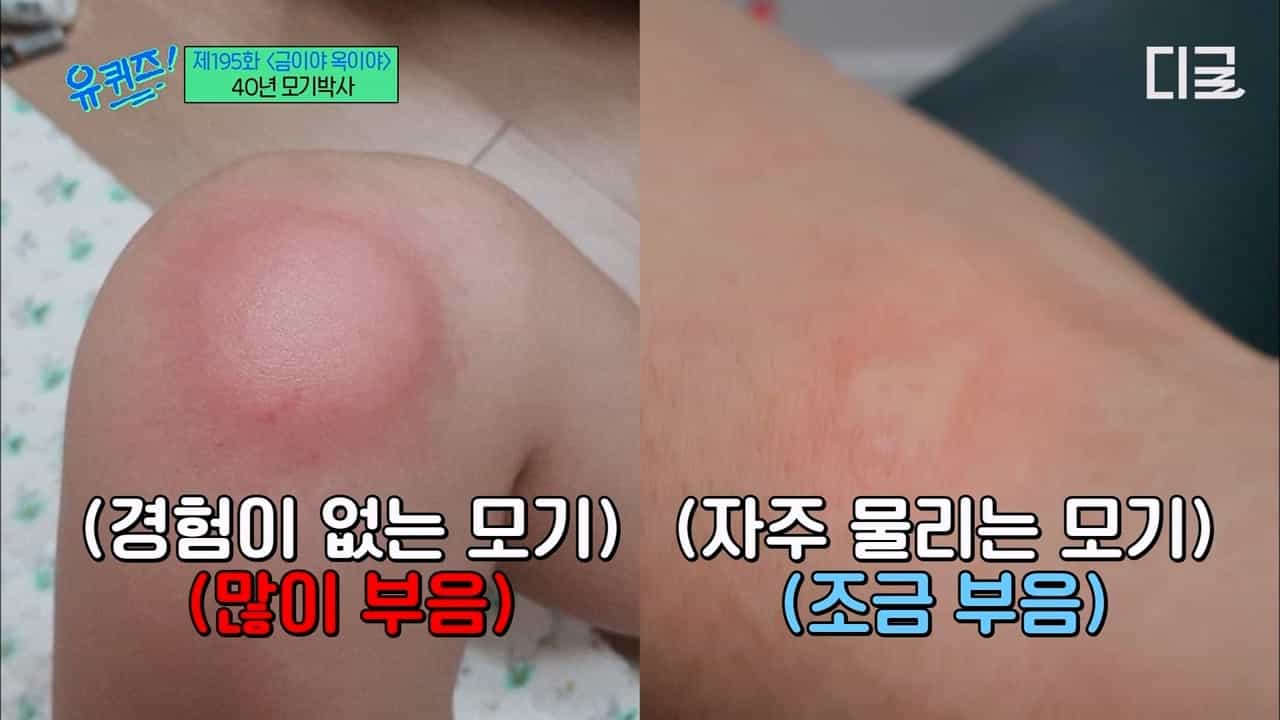 산모기 더 부음