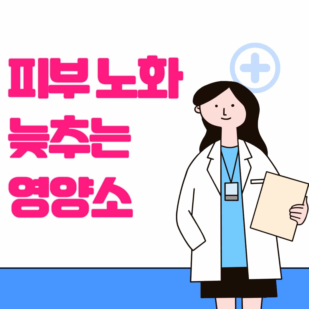 피부 노화를 늦추는 50대 여성의 필수 영양소