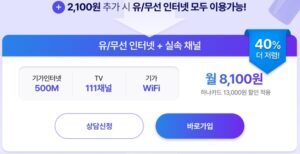 유무선 인터넷 실속 채널