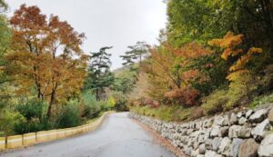 검봉산 자연휴양림 숙소 예약, 가격, 할인, 위약금20250816112650003