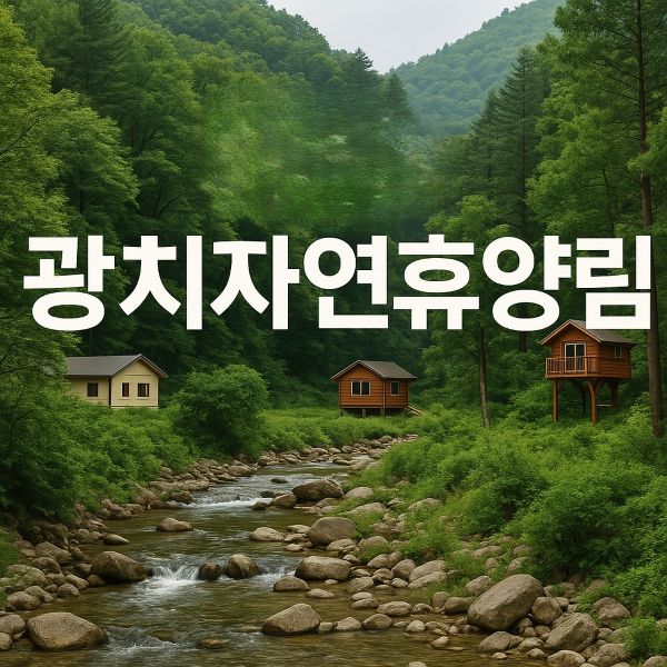 광치자연휴양림 예약, 가격, 할인, 위약금 등 총정리