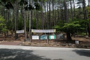 백운산자연휴양림4