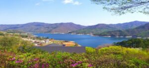충주 계명산자연휴양림4038001