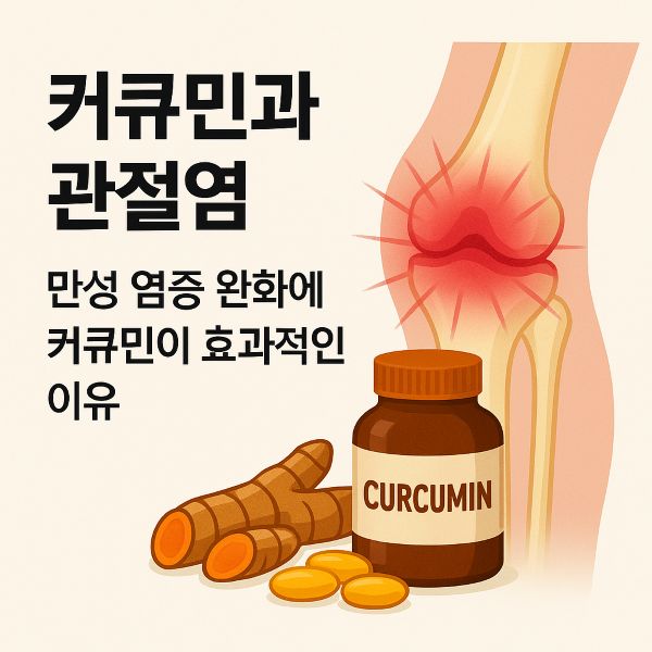 커큐민과 관절염