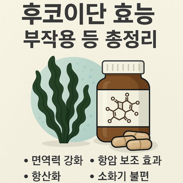 후코이단 효능 부작용 등 총정리