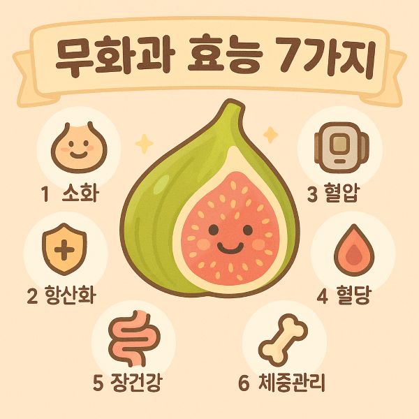 무화과 효능 7가지