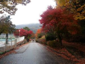 남원자연휴양림 예약 가격0023