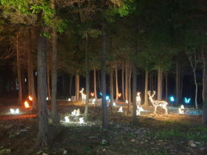 남해편백자연휴양림 예약 가격02