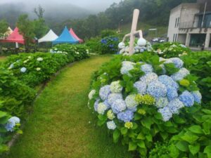 달음산자연휴양림023