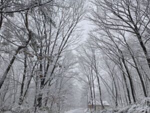 대야산자연휴양림 예약, 가격