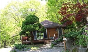 대운산자연휴양림 예약, 가격, 할인