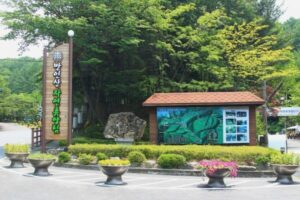 대전 만인산 자연휴양림 예약, 가격 1