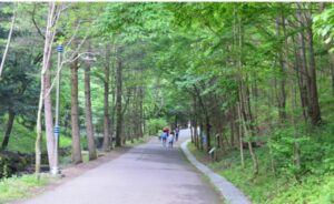 대전 만인산 자연휴양림 예약, 가격 3