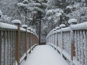 두타산 자연휴양림 예약, 가격 2