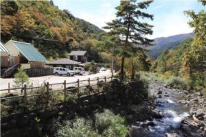 두타산 자연휴양림 예약, 가격 3