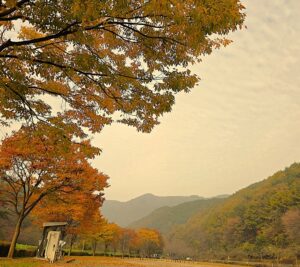 만수산자연휴양림 예약, 가격, 2